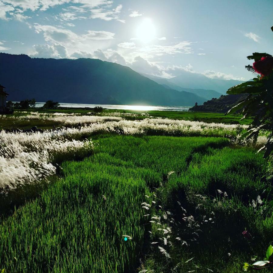 Bishnu Homestay Покхара Екстер'єр фото